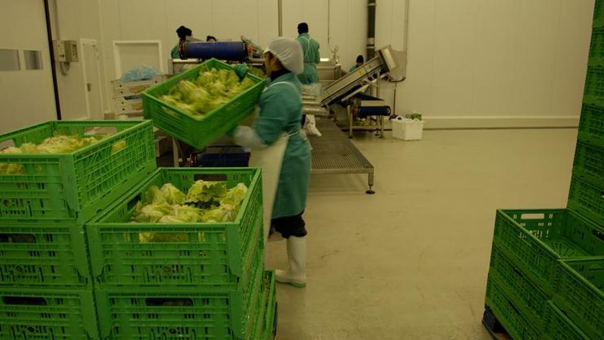 El Gobierno vasco no tiene fecha definida para poner en marcha la inspección de los precios en la cadena alimentaria