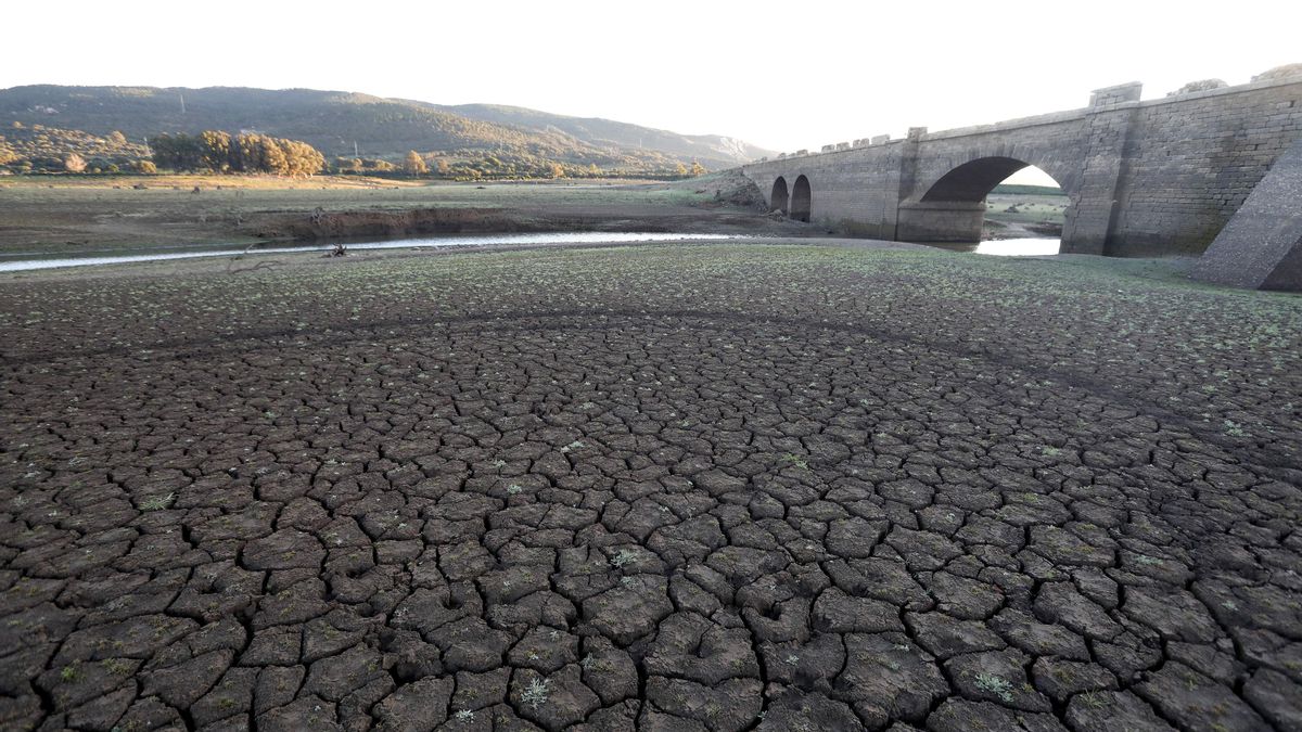 Embalse de Charco Redondo en el término municipal de Los Barrios (Cádiz).