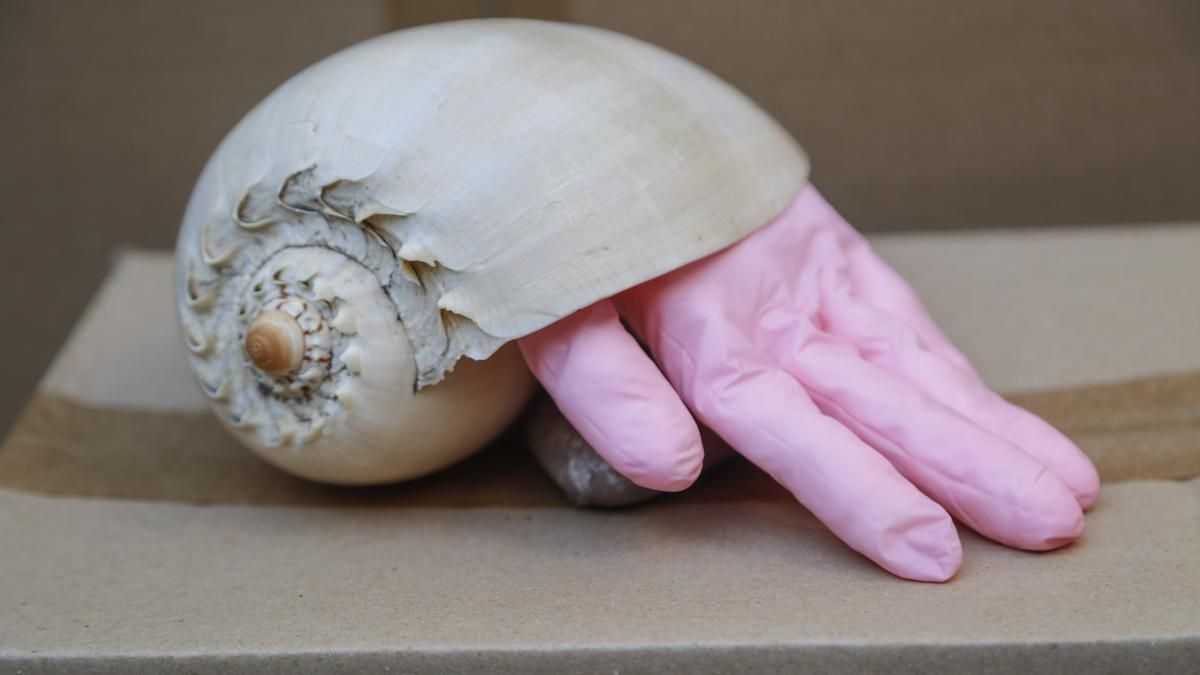 Inauguración del festival Poemx en el Palacio de Viana