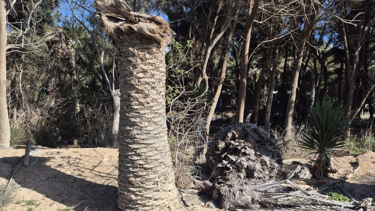 Vecinos de Costa Calma exigen al Ayuntamiento de Pájara que asuma los servicios básicos que lleva décadas ignorando