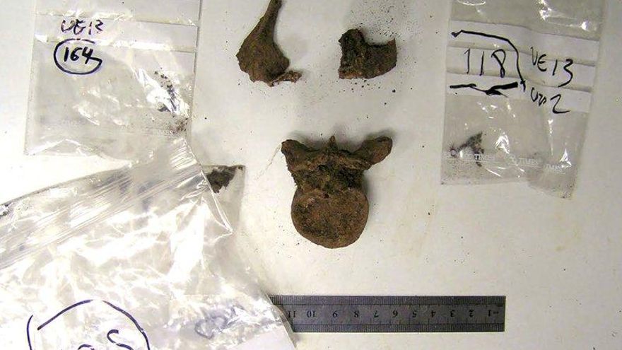 Fragmentos de un cementerio hallado en una cueva de la Serranía conquense