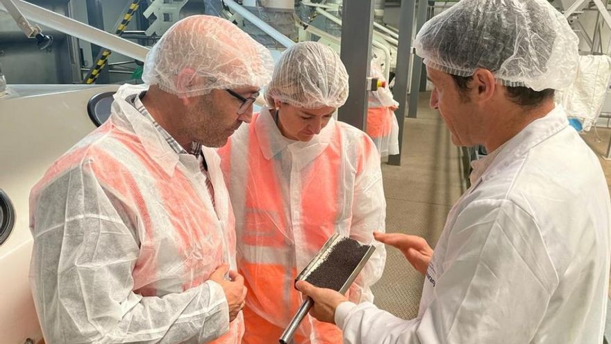 El Gobierno regional estudia considerar el cultivo de la adormidera como “mejorante” dentro de la nueva PAC