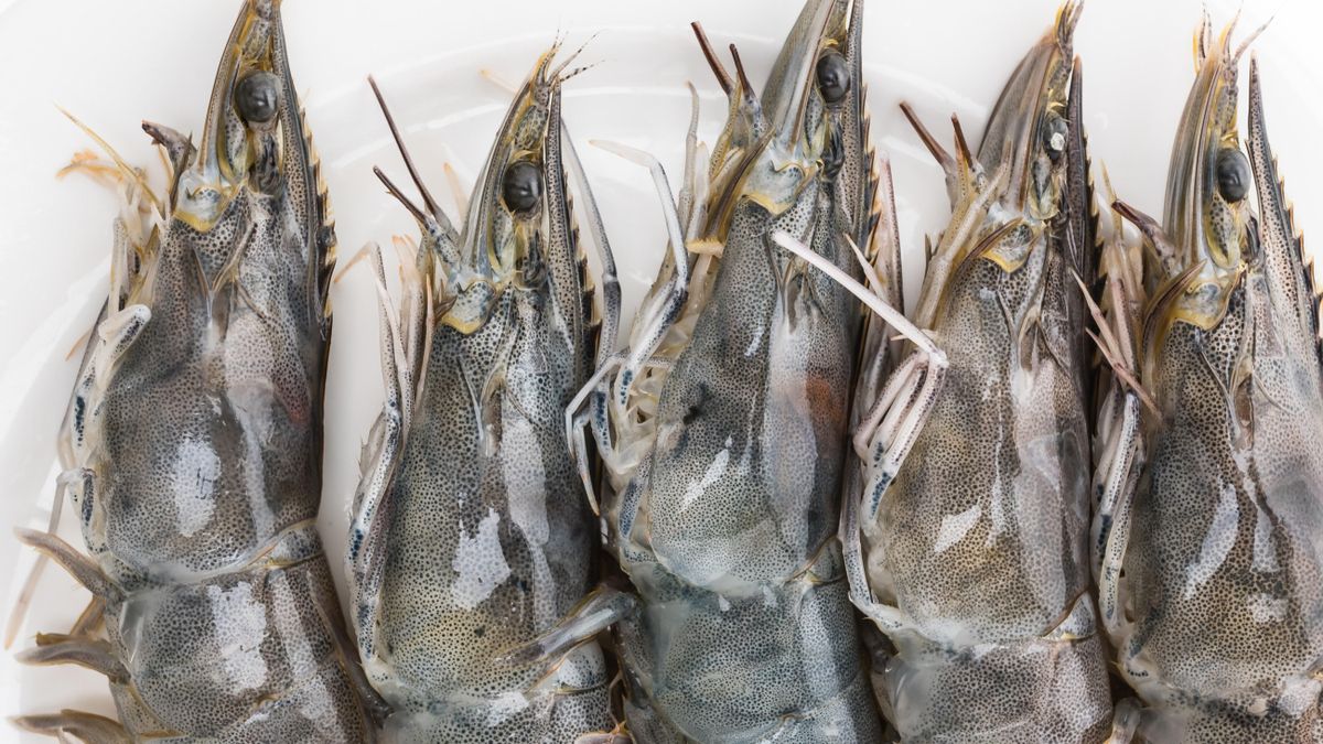 Necesitaras camarones grises para esta receta