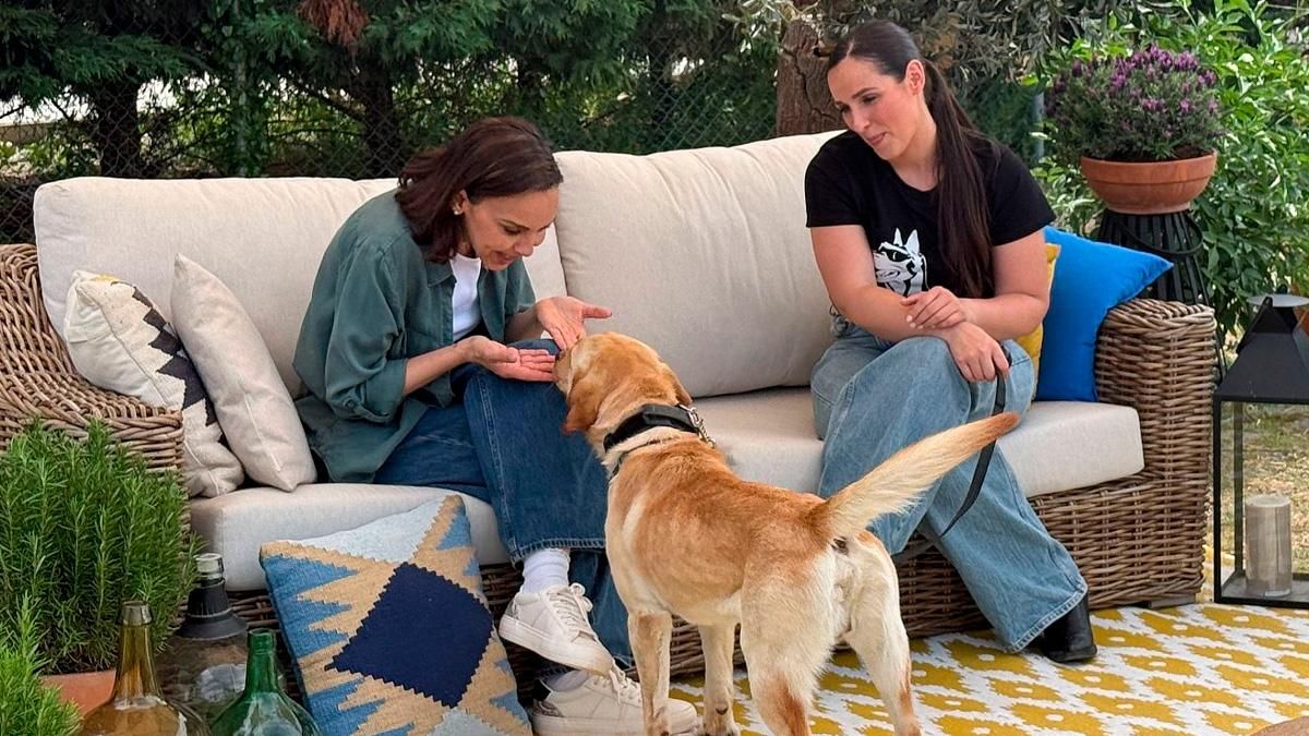 'Dog House' reivindica en RTVE una jubilación digna para los perros trabajadores: "Ha resultado ser perfecto"