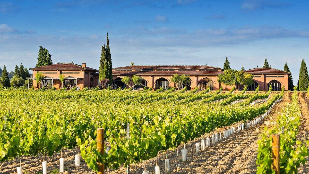 Se trata de tres jornadas de puertas abiertas, visitas guiadas, paseos entre viñedos y catas