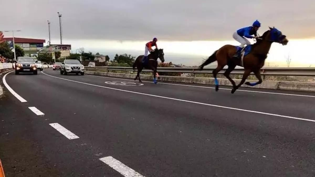 Imagen de archivo de una prueba de la Palma Escustre.