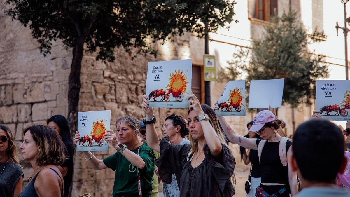 Manifestantes en una protesta contra las calesas en Palma.