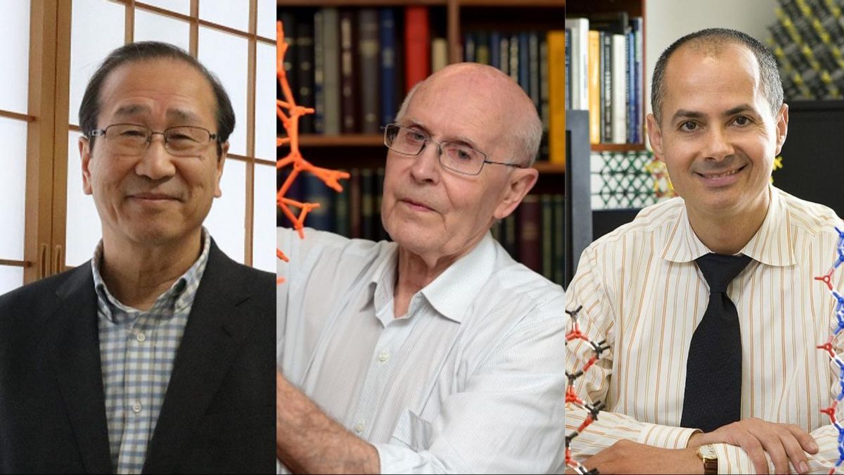 Kitagawa Robson y Yaghi, ganadores del Nobel de Quimica 2025.