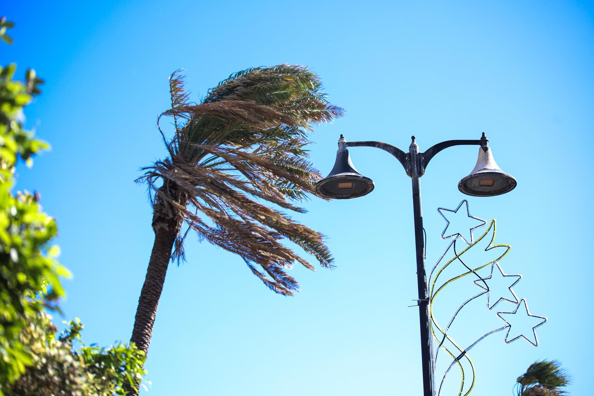 Fuerte viento en La Palma. (Luis G. Morera -EFE)