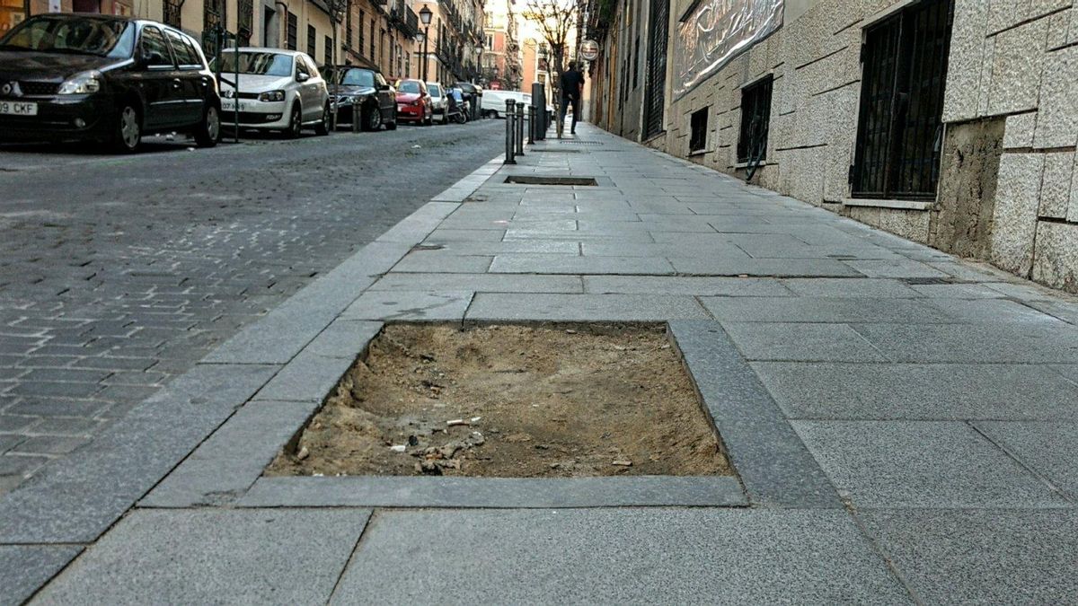 ¡Aquí falta un árbol! Grupos ecologistas y ciudadanos se unen para inventariar los alcorques vacíos o en mal estado