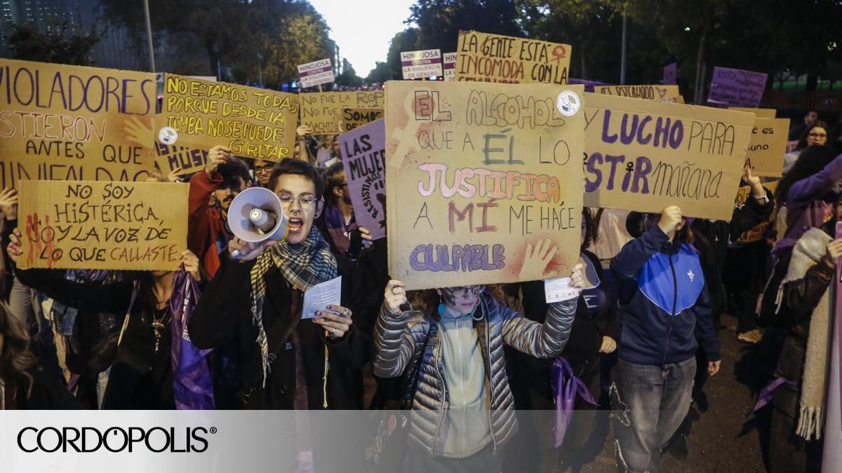 La manifestación del 25N en Córdoba contra la violencia de género, en ...