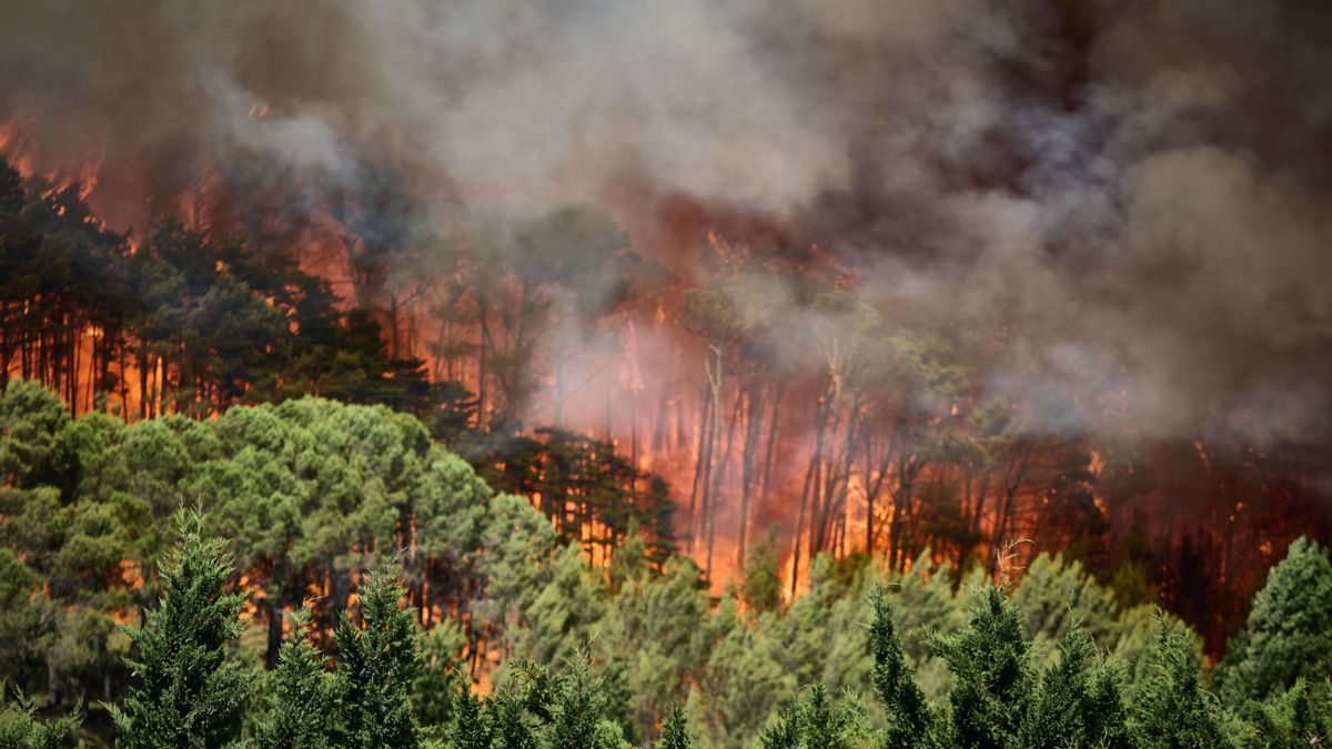 Navarra se encuentra este miércoles, día del eclipse, en riesgo "extremo" de incendio forestal