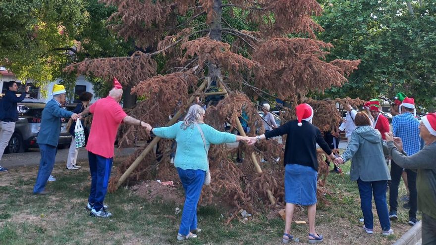 Vecinos de Sant Marcel·lí en València denuncian el despilfarro de Vox con el abeto moribundo de 10.000 euros y exigen zonas verdes