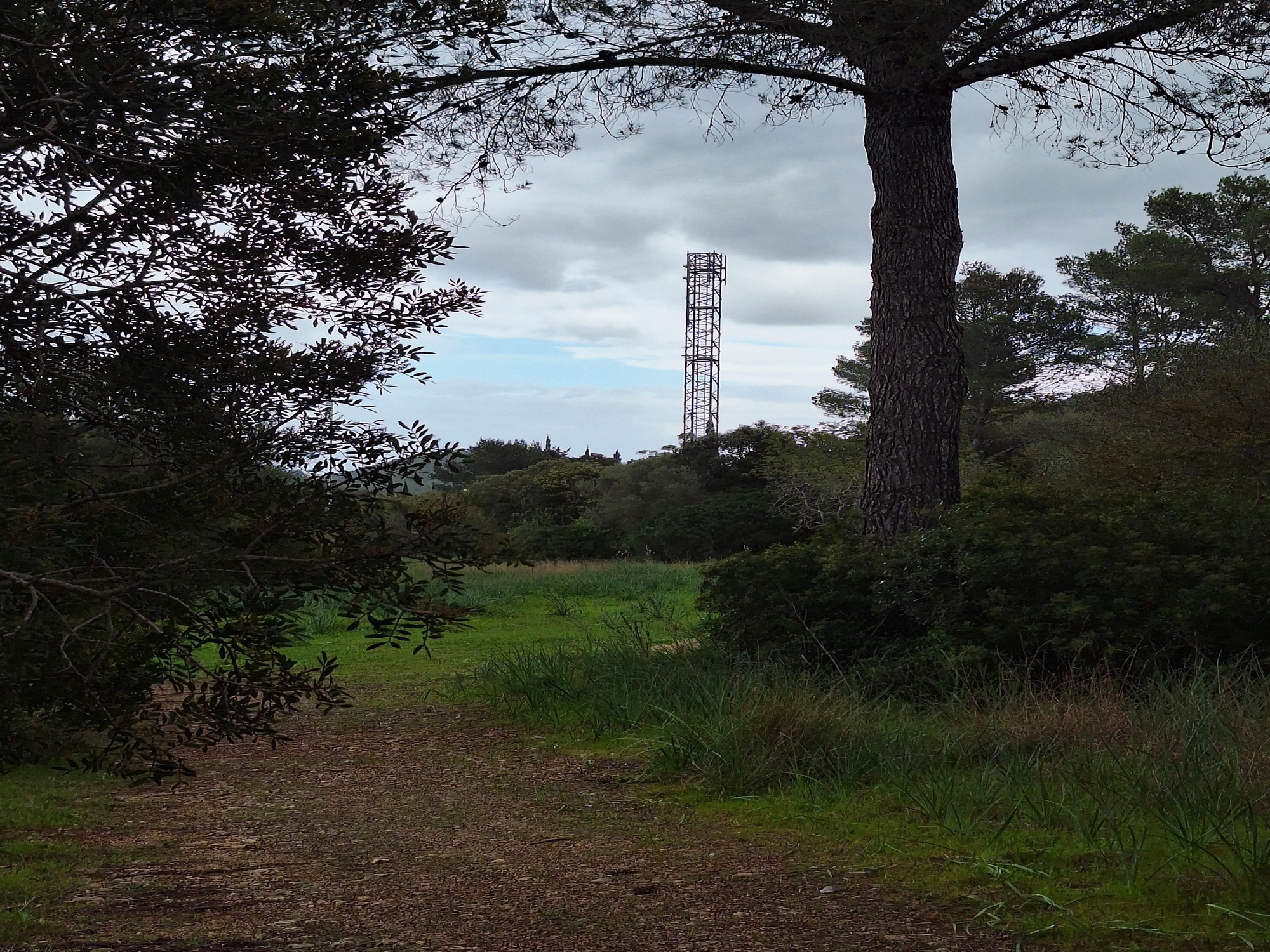Imatge de la torre de telefonia instal·lada en una Àrea Rural d'Interès Paisatgístic (ARIP)
