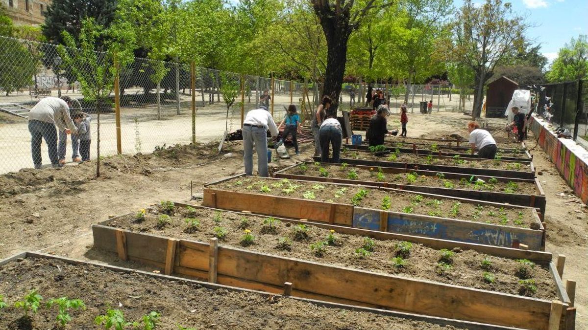 Música, concurso de tortillas, básket y cortos para celebrar el décimo aniversario del huerto del parque de La Cornisa