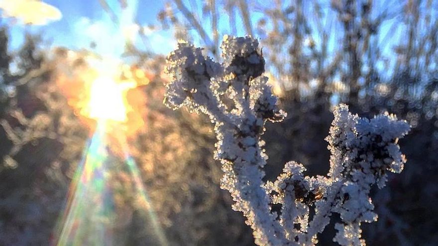 Imagen de Jose Mayo.