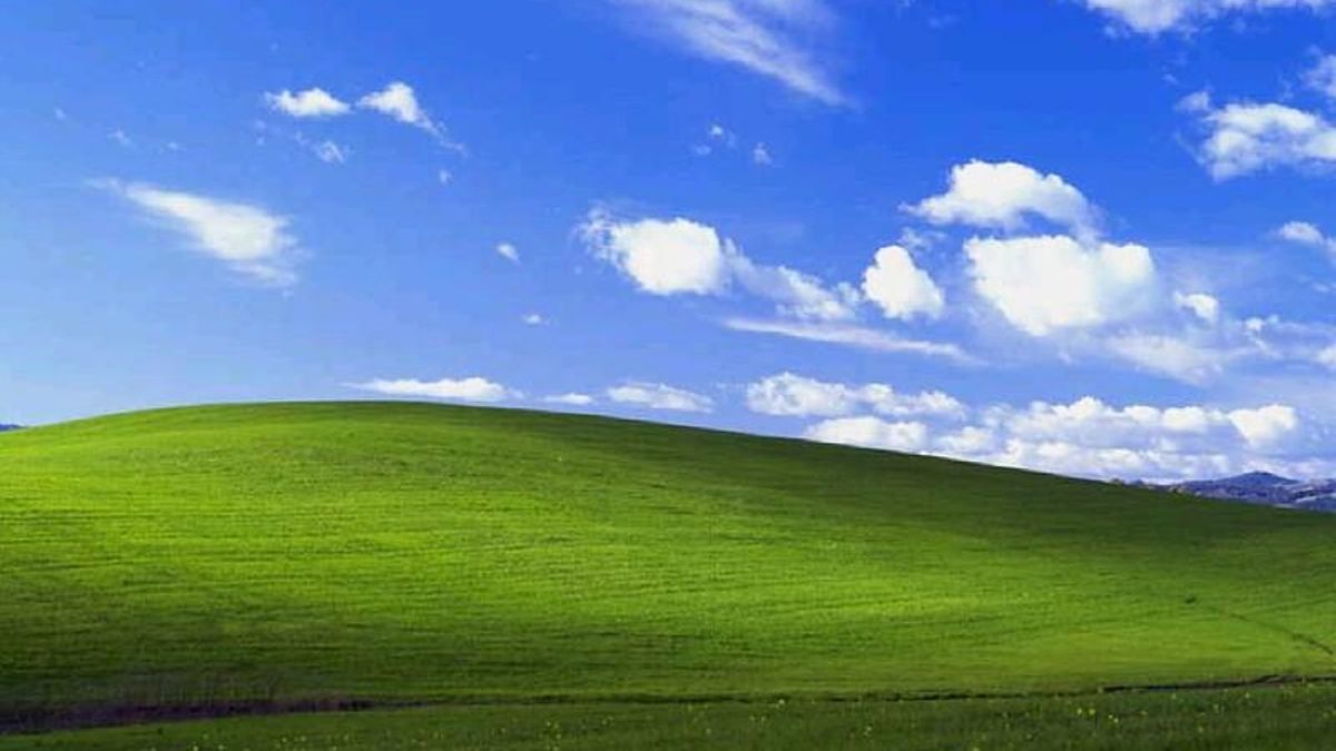 “Bliss”: la historia de amor detrás del fondo de pantalla de Windows que todos conocemos