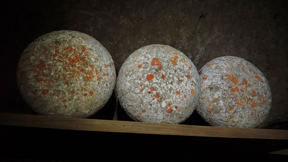 León acoge la presentación de 'Artesanos del queso', que recoge la nueva generación quesera y con presencia leonesa