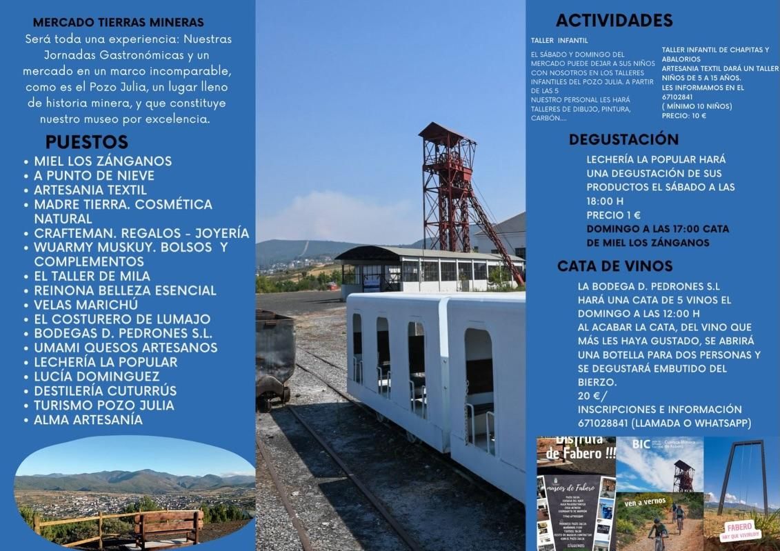 Programa del Mercado de Tierras Mineras de Fabero.