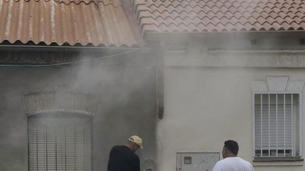 Trabajando en recuperar el ladrillo