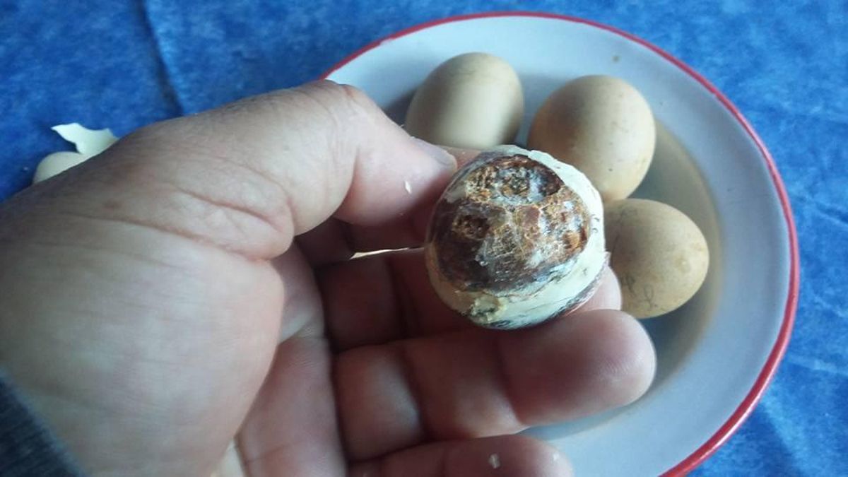 Recogida de huevos el Jueves y Viernes Santo como remedio para el asma