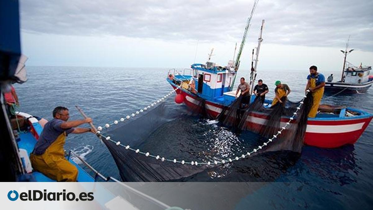El Senado pide revisar la gestión de la pesca en el caladero de Canarias