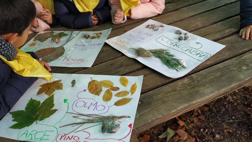 Proyecto de educación medioambiental