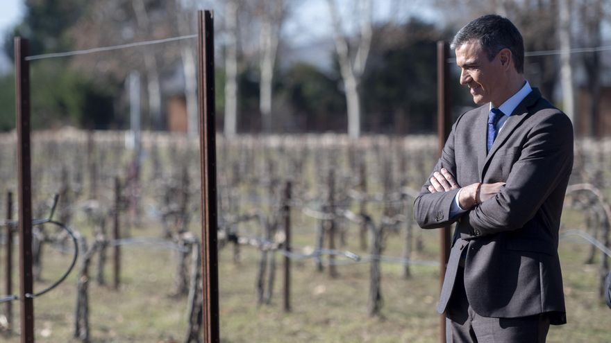 Pedro Sánchez, sobre una guerra comercial por los aranceles: "A Europa le va la vida en reforzar su soberanía"