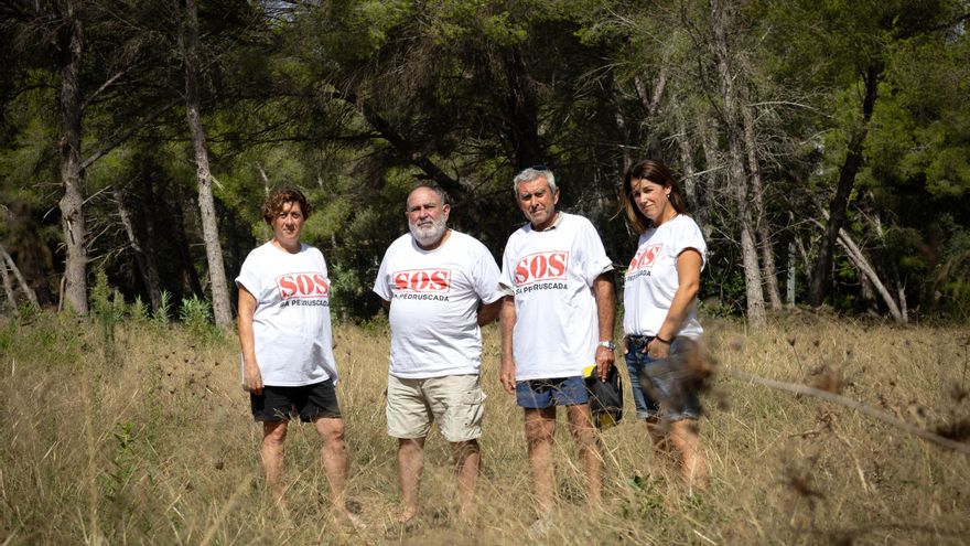 60 viviendas de lujo y 18 piscinas, el proyecto que amenaza una de las calas de Mallorca: "Es una animalada"