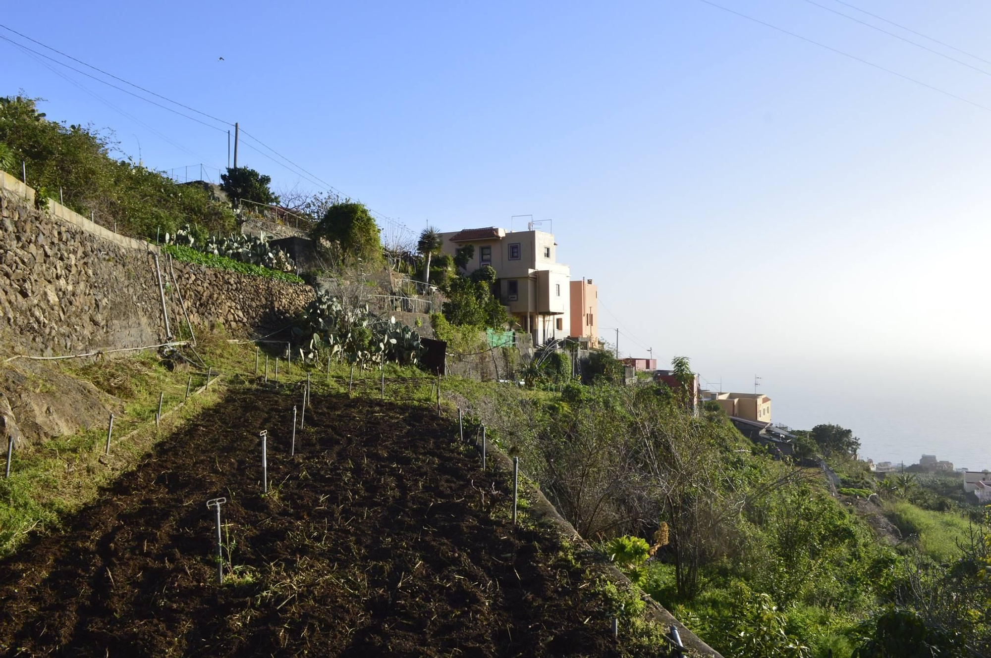 Tierra labrada. Las Lomadas. Los Sauces. Óscar Lorenzo