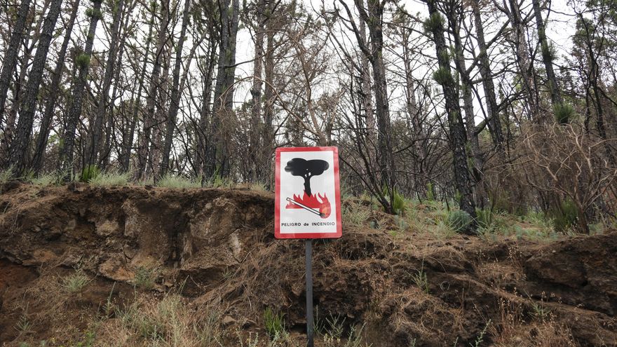 Prealerta por riesgo de incendios forestales en cinco islas de Canarias