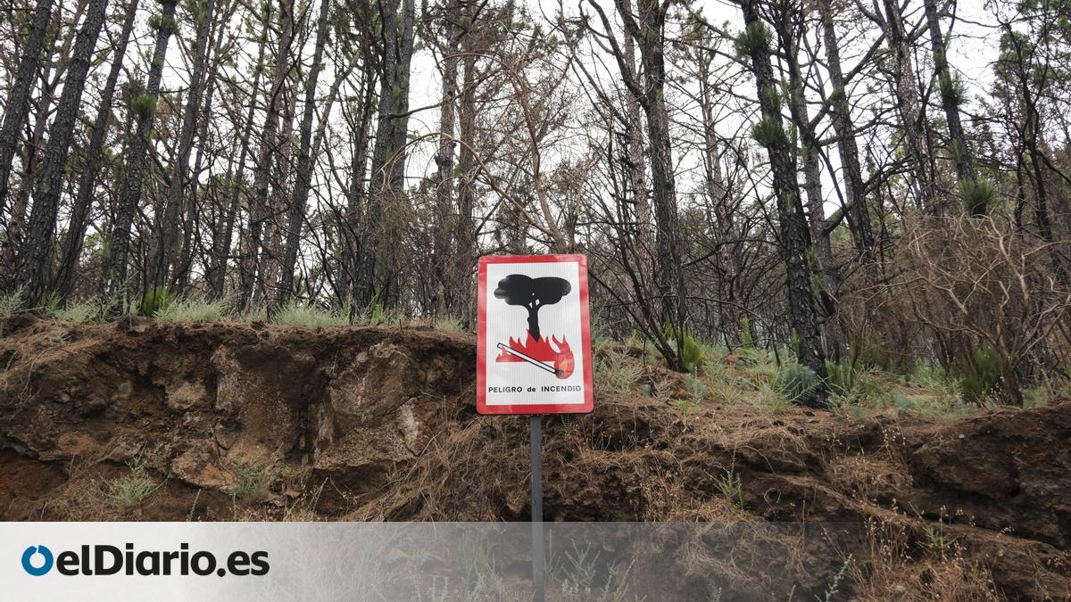 El Gobierno canario activa en varias islas una prealerta que durará al menos cuatro meses