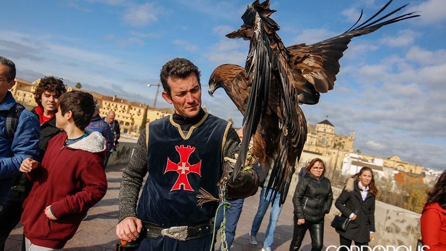 Suspendidas las actividades de cetrería del mercado andalusí de Córdoba por la gripe aviar