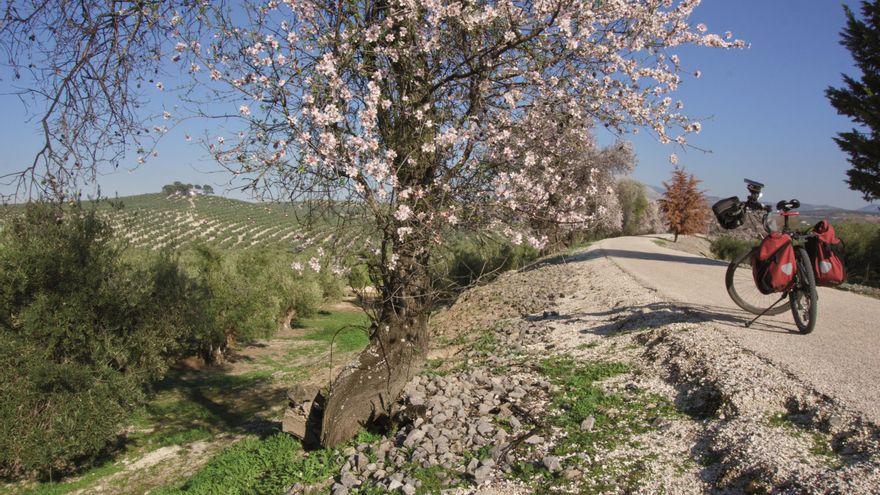 Una ruta en bici de Jaén a Córdoba por vías verdes: cinco días por las campiñas y dos antiguas líneas de ferrocarril