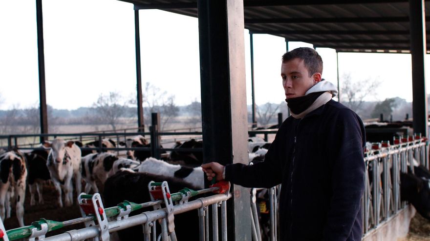 España, a la cola de Europa en precios de la leche de vaca en origen