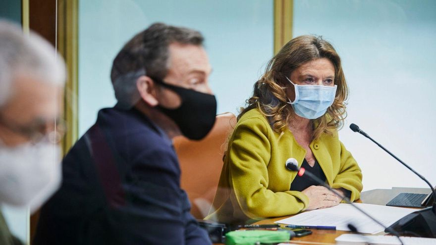 Euskadi alerta de que la caída de la incidencia de la pandemia se ha "enlentecido" y avisa de que la situación está "lejos de ser tranquilizadora"