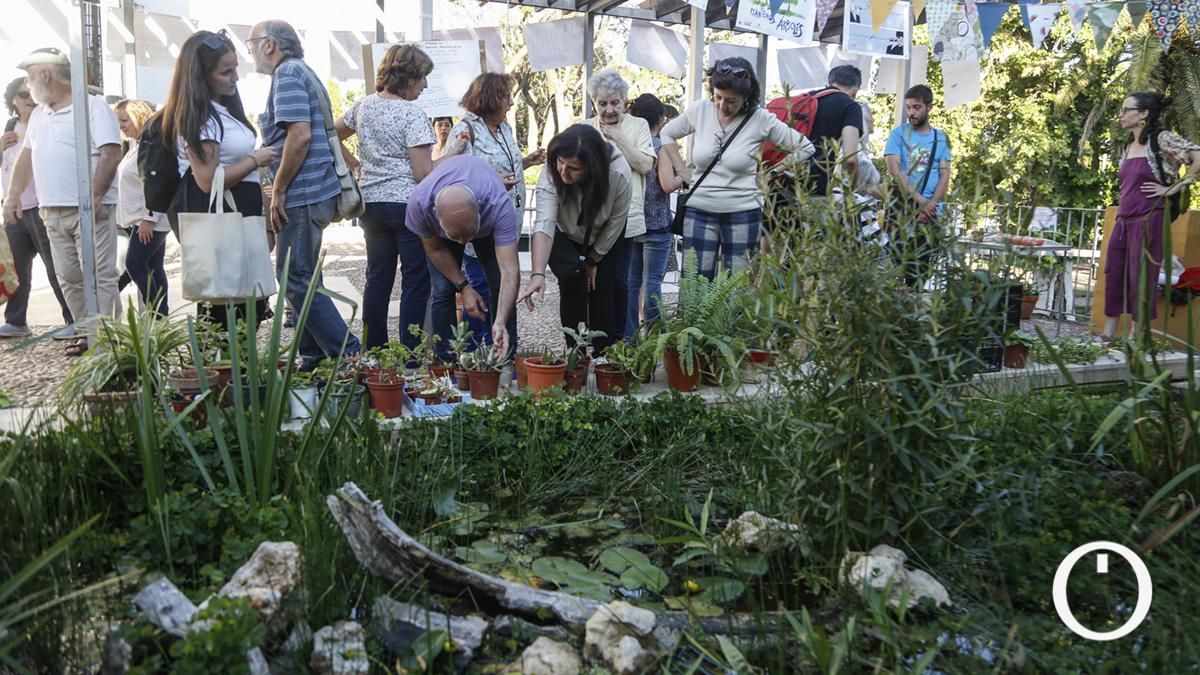 Mercado de trueque de plantas en los Jardines de Orive