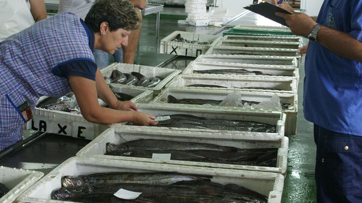 La lonja local es la más grande de toda la Costa da Morte