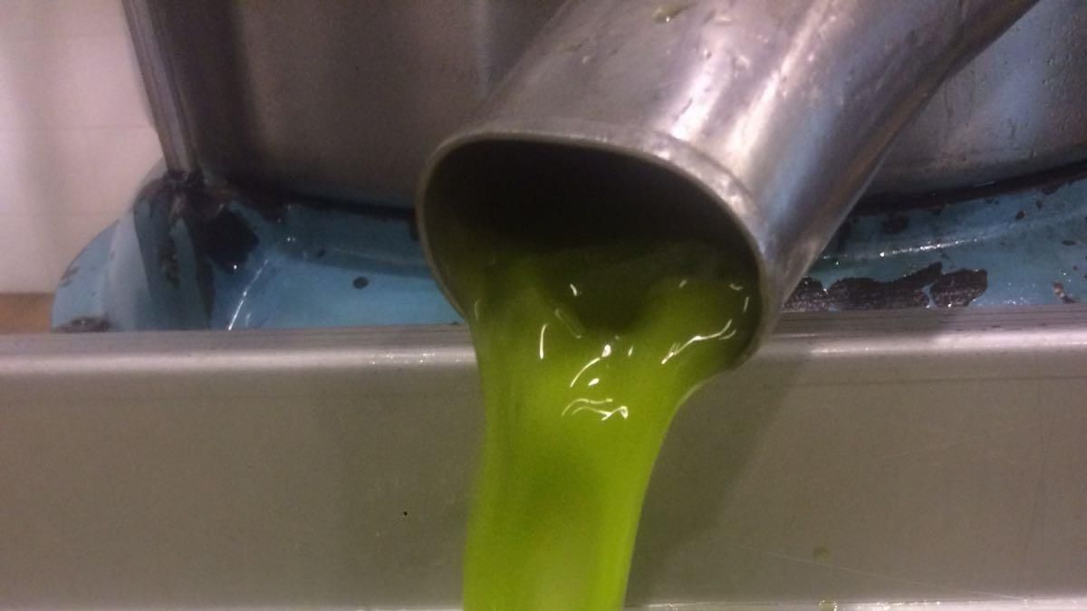 La producción de aceite de oliva caerá un 9% en la campaña 2026 respecto a la anterior por las condiciones climáticas