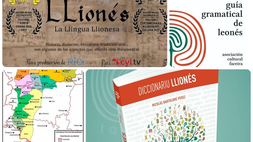 La Junta de Castilla y León ignora a la lengua leonesa en su web oficial pese a estar obligada a promocionarla