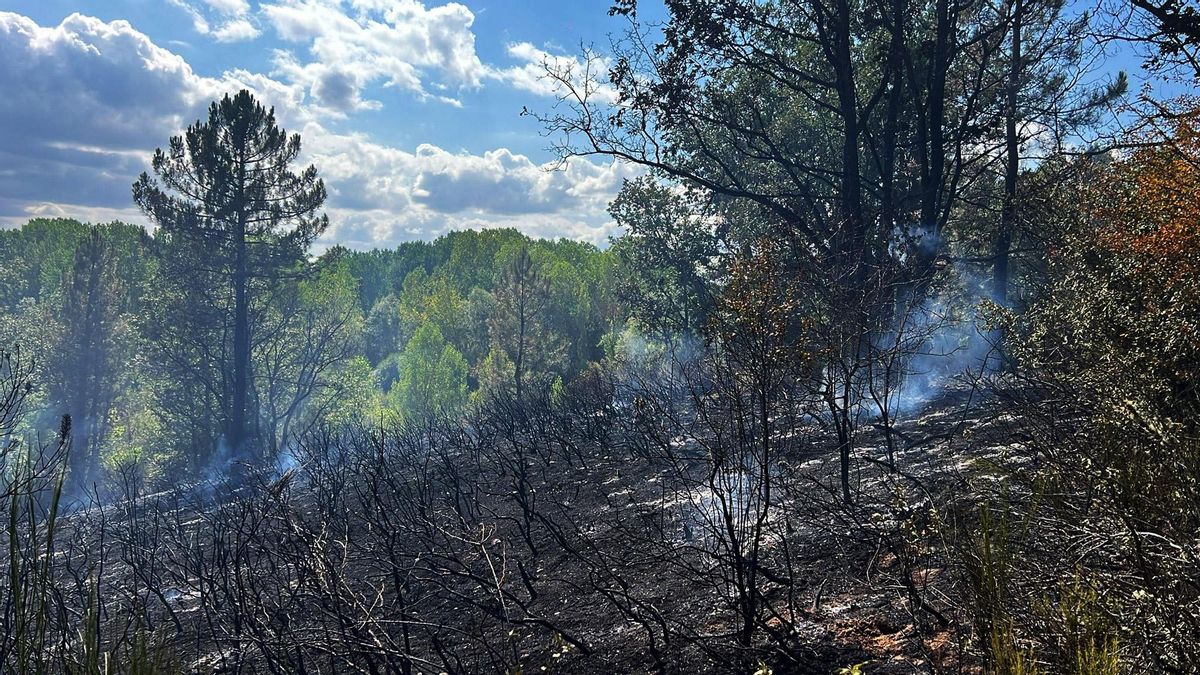 Cuando el monte se quema, algo suyo se quema
