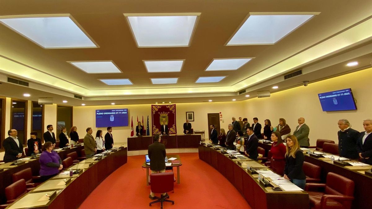 El Ayuntamiento de Albacete se adhiere al sistema Viogén al aprobarse en pleno la moción propuesta por Unidas Podemos