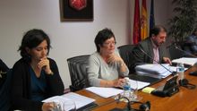 La consejera, durante la comparecencia.