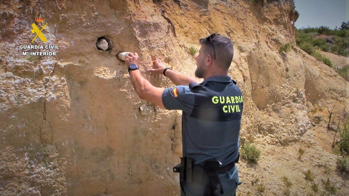 La Guardia Civil investiga a un apicultor que dañó nidos de un ave protegida para que no afectase a sus colmenas