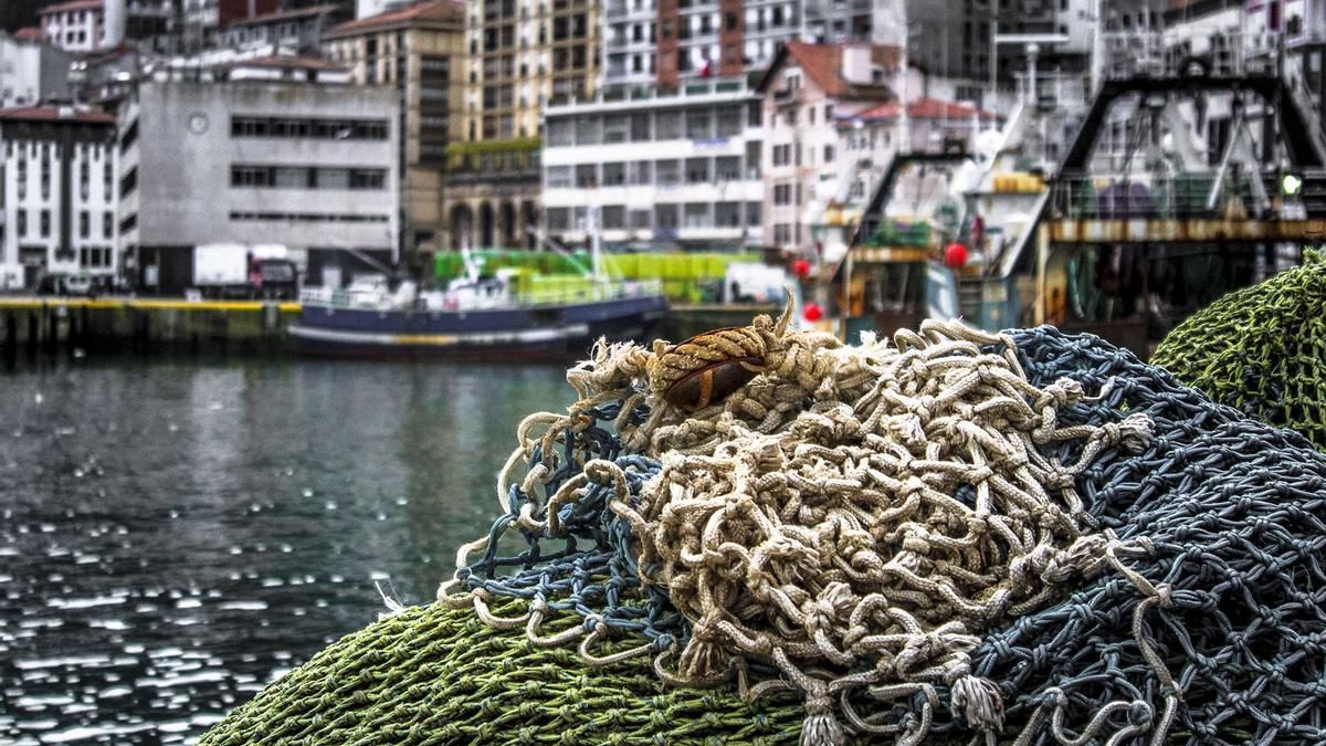 Pescadores vascos critican a Europa por la veda para proteger a los delfines