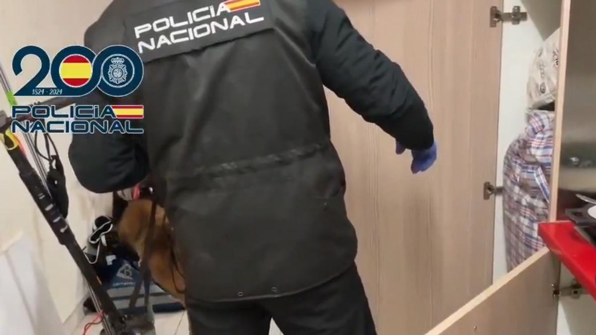 Un agente de la Policía Nacional, durante la operación de desarticulación de la banda