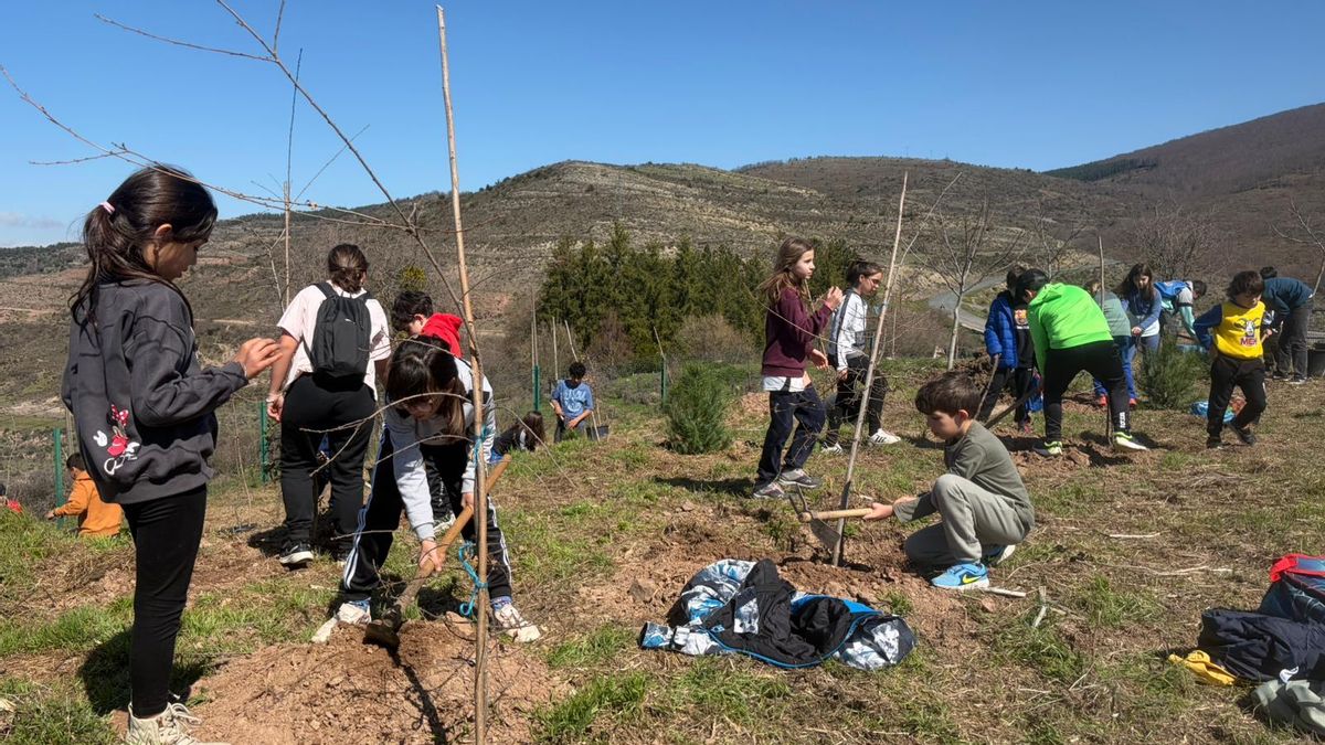 Día del árbol en Almarza de Cameros