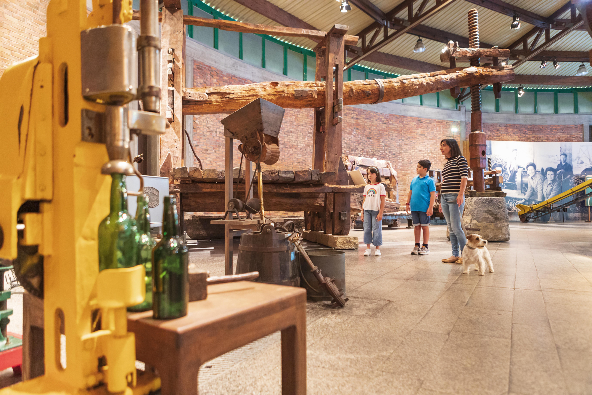 Sidraturismo en la Comarca de la Sidra