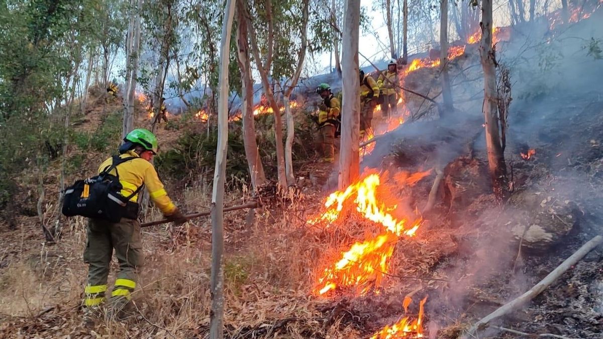 UME Activated as Niebla Wildfire Remains Out of Control in Huelva - News Directory 3