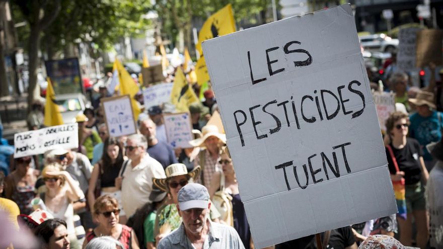 El Gobierno francés aviva la polémica al reintroducir un pesticida peligroso para la salud, pese a las movilizaciones en contra